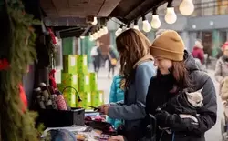 S250 image20251114 10224 ywv123