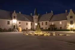 S250 image20251109 48 3l305w